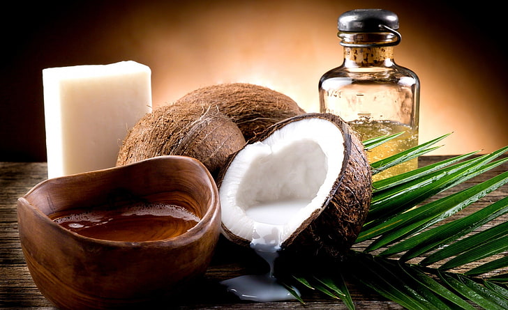 Peluang usaha kelapa tua Peluang usaha kelapa tua